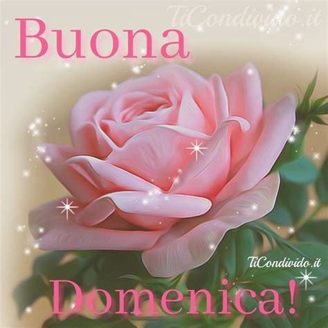 immagini buona domenica whatsapp|immagini buona domenica virtuali.